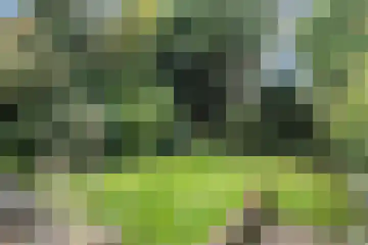 Mr Racerstraat 7 Delden thumbnail 5