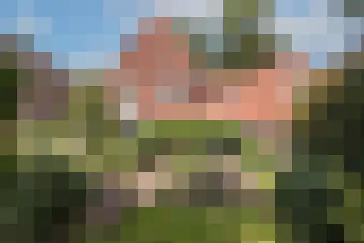 Mr Racerstraat 7 Delden thumbnail 6