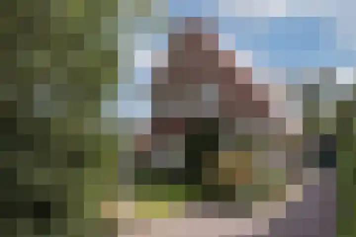 Mr Racerstraat 7 Delden thumbnail 7