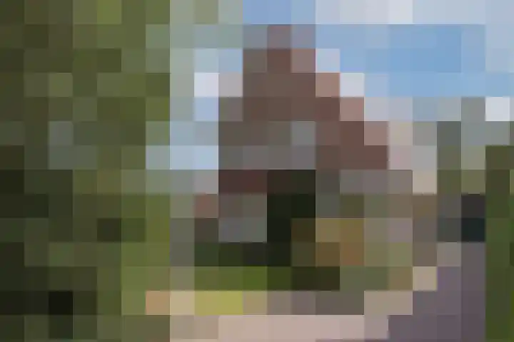 Mr Racerstraat 7 Delden thumbnail 9