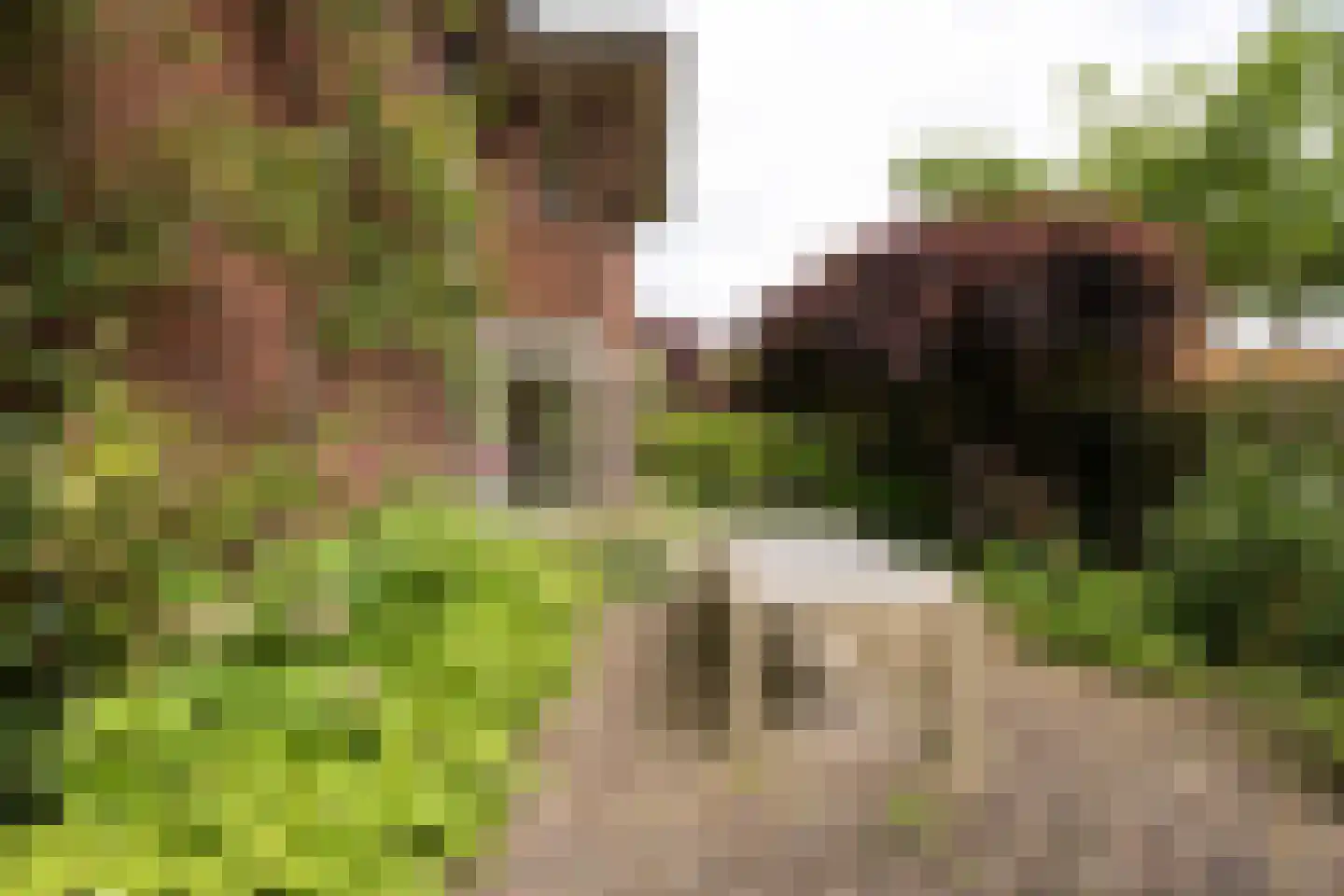 Mr. Rendorplaan 15 Amstelveen thumbnail 27