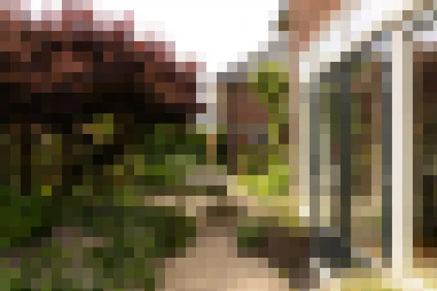 Mr. Rendorplaan 15 Amstelveen thumbnail 28