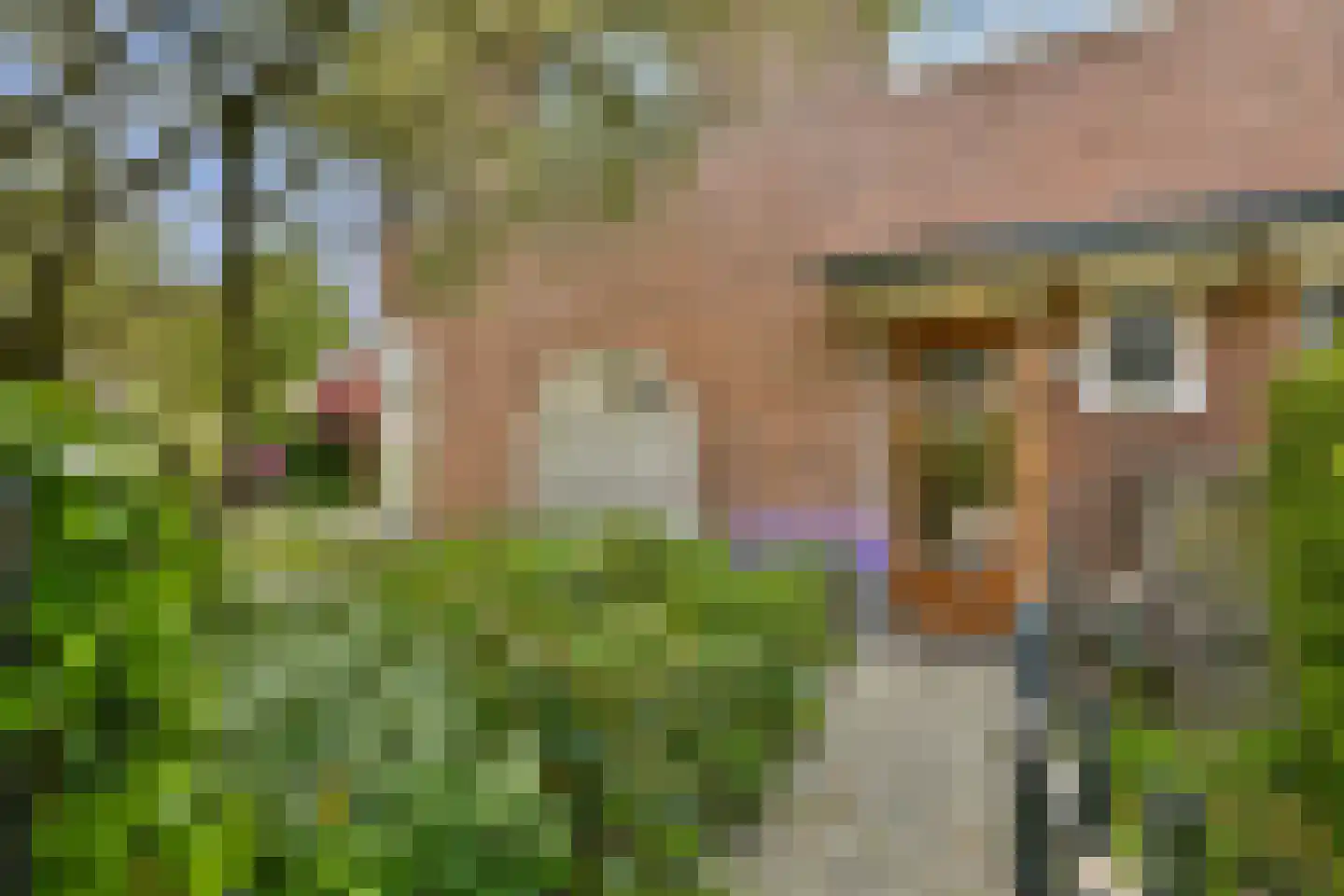 Mr. Rendorplaan 15 Amstelveen thumbnail 5