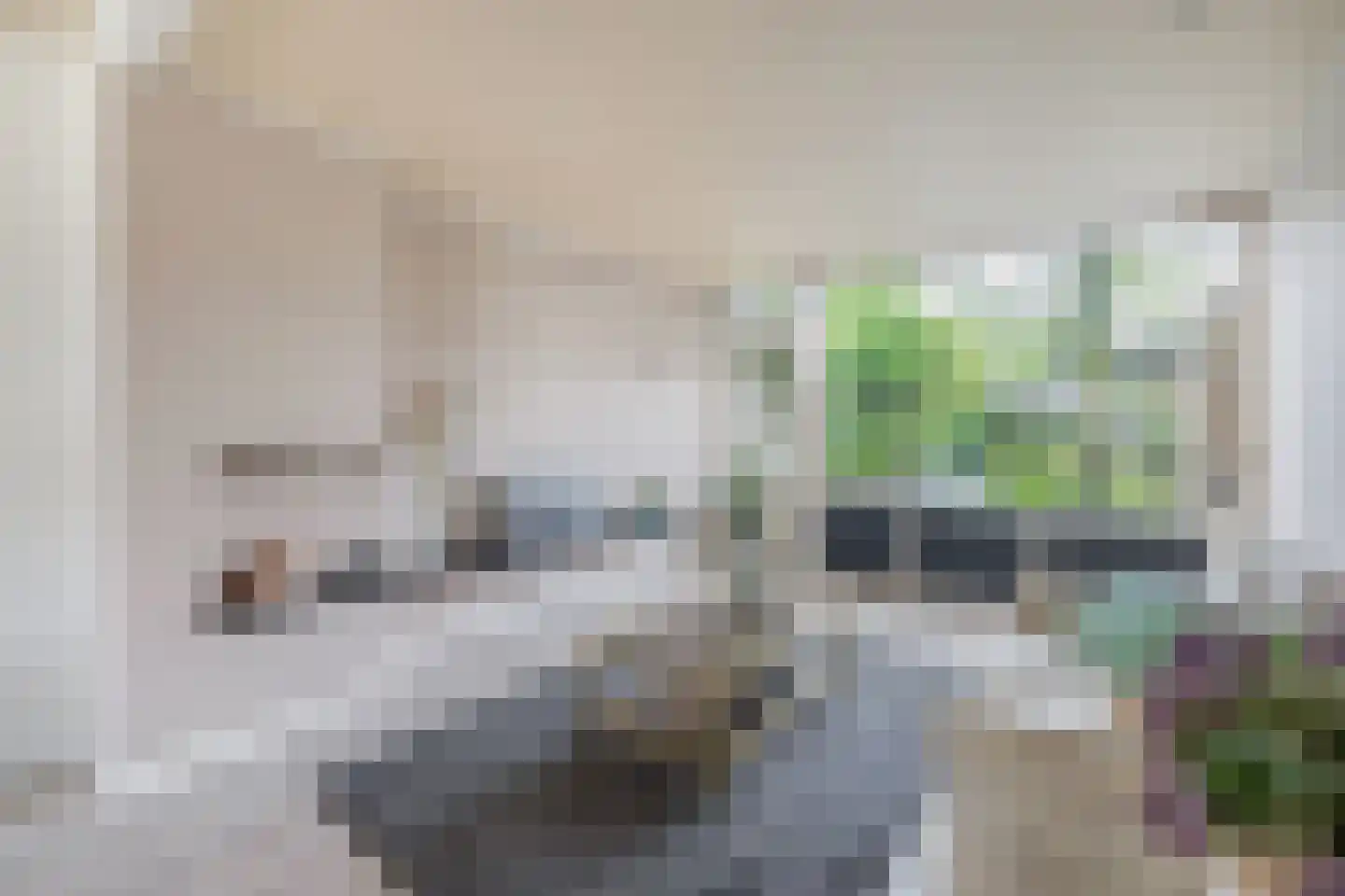Mr. Ruys de Beerenbrouckstraat 2 Waalwijk thumbnail 10