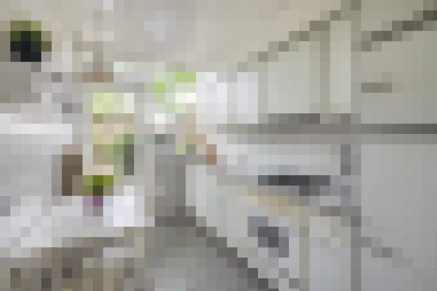 Mr. Ruys de Beerenbrouckstraat 2 Waalwijk thumbnail 12