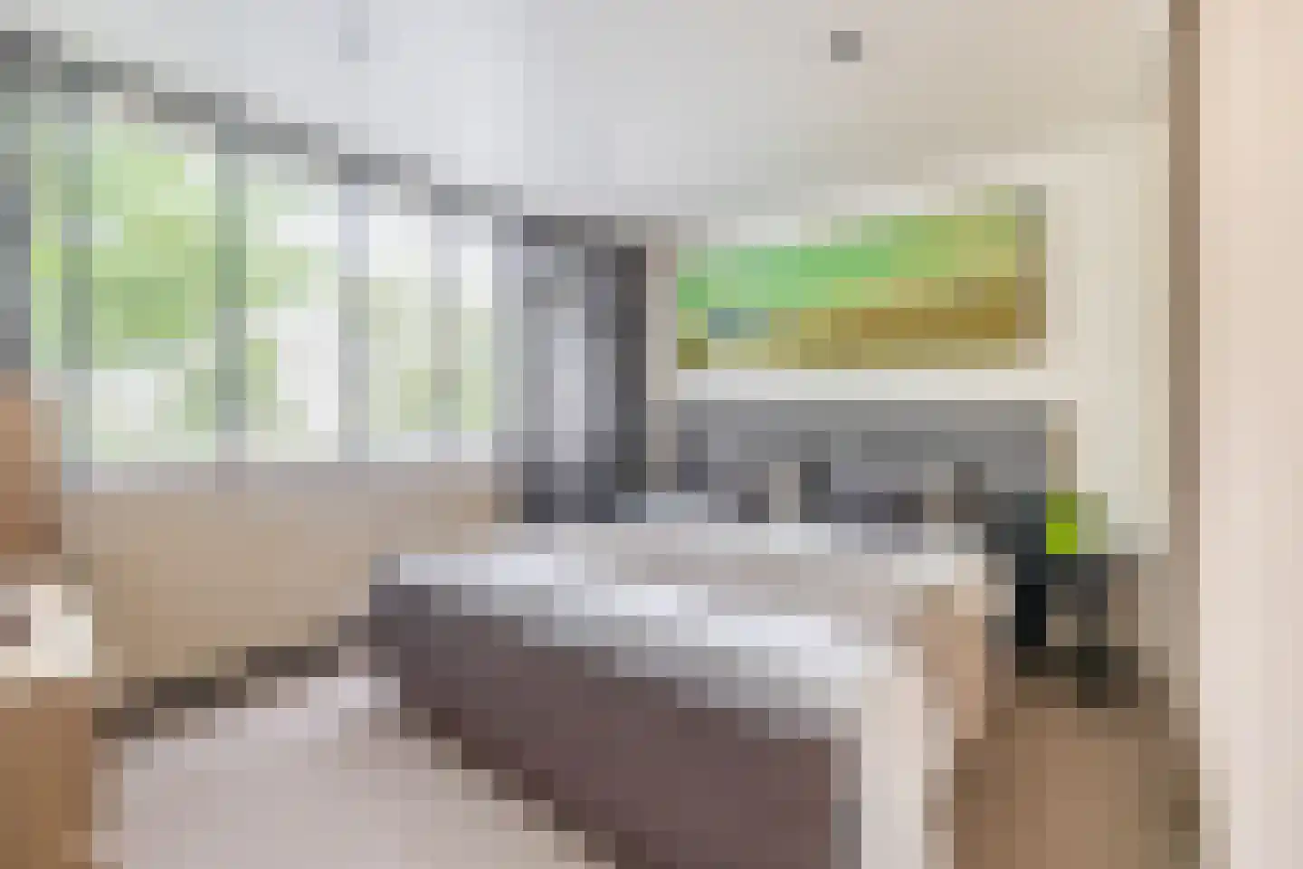 Mr. Ruys de Beerenbrouckstraat 2 Waalwijk thumbnail 18