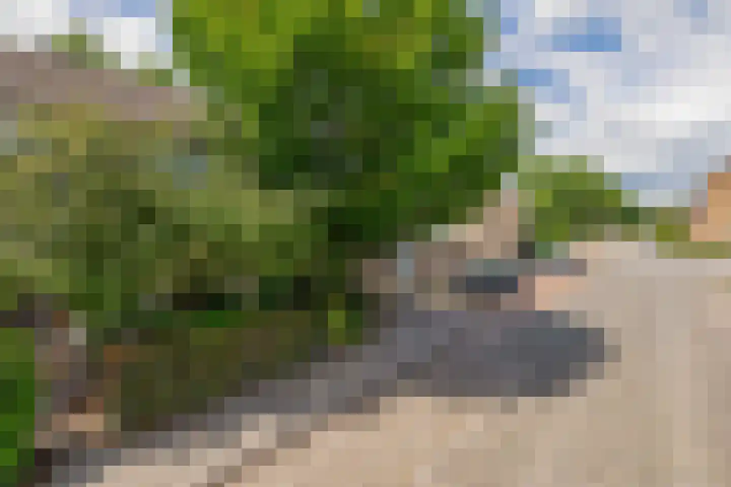 Mr. Ruys de Beerenbrouckstraat 2 Waalwijk thumbnail 5