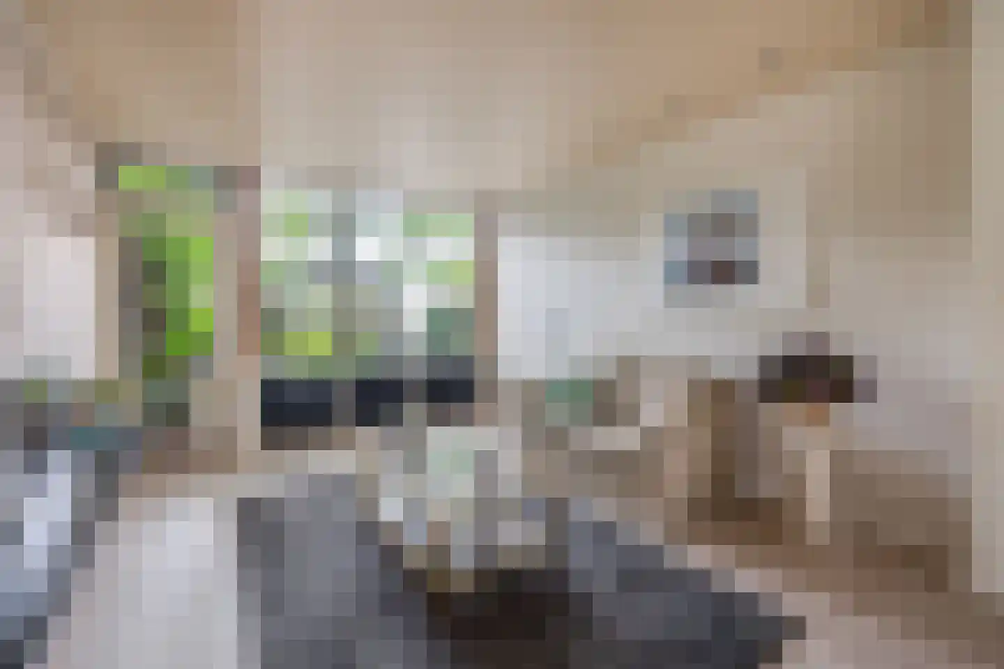 Mr. Ruys de Beerenbrouckstraat 2 Waalwijk thumbnail 8