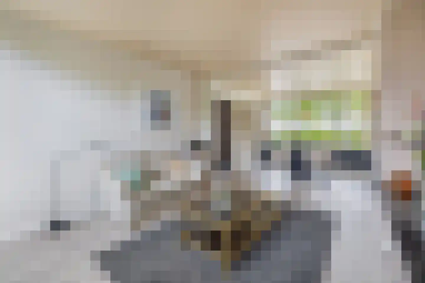 Mr. Ruys de Beerenbrouckstraat 2 Waalwijk thumbnail 9