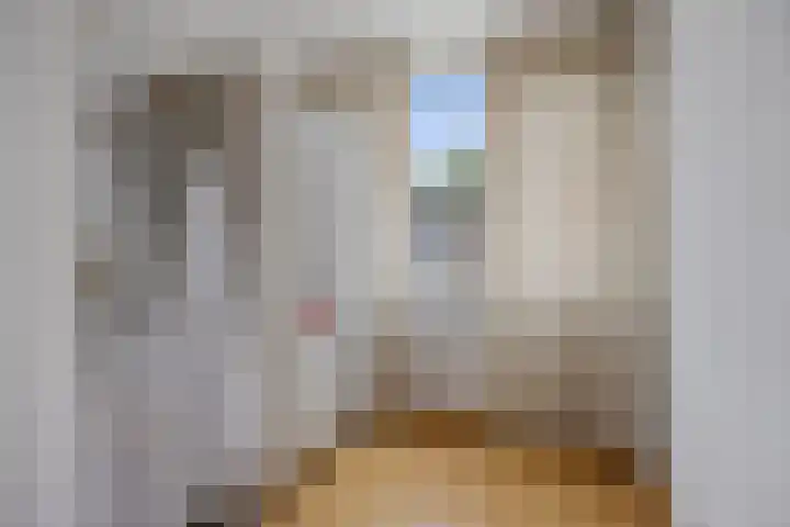Mr. Ruys de Beerenbrouckstraat 20 Waalwijk thumbnail 20