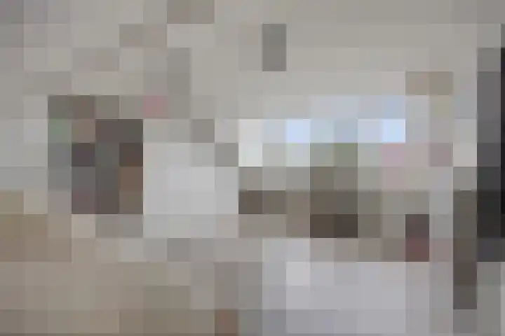 Mr. Ruys de Beerenbrouckstraat 20 Waalwijk thumbnail 22