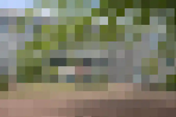 Mr. Ruys de Beerenbrouckstraat 20 Waalwijk thumbnail 33