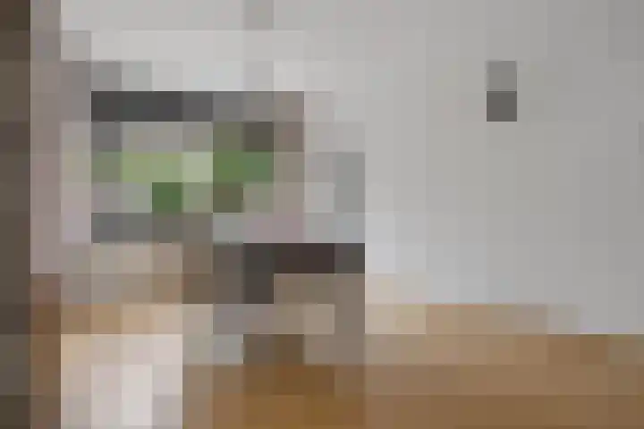 Mr. Ruys de Beerenbrouckstraat 20 Waalwijk thumbnail 7