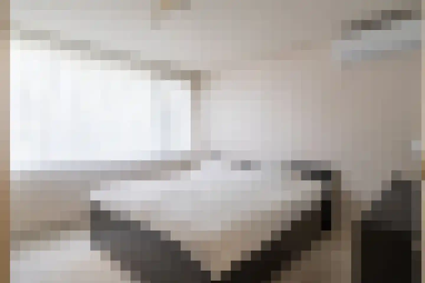 Mr. Ruys de Beerenbrouckstraat 28 Waalwijk thumbnail 22