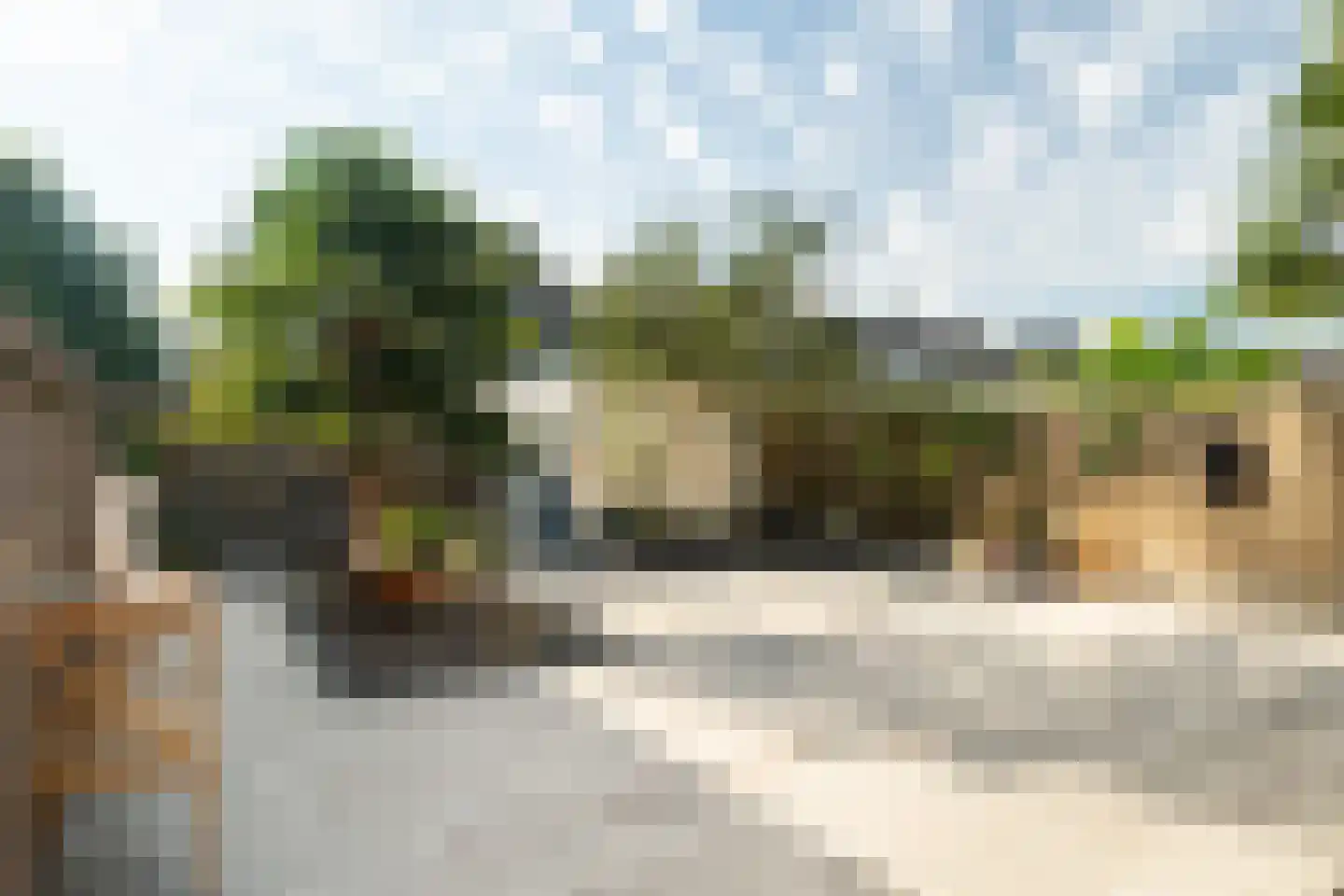Mr. Ruys de Beerenbrouckstraat 28 Waalwijk thumbnail 32