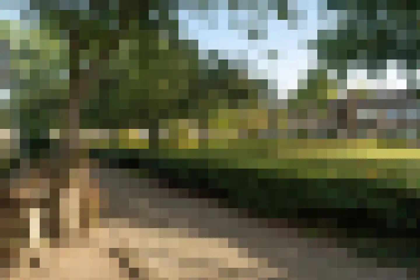 Mr. Ruys de Beerenbrouckstraat 28 Waalwijk thumbnail 36