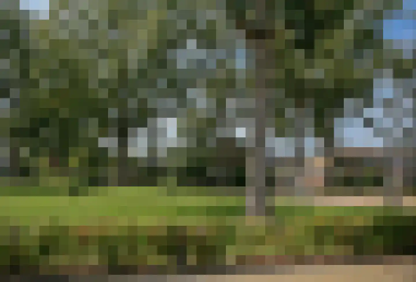 Mr. Ruys de Beerenbrouckstraat 28 Waalwijk thumbnail 6