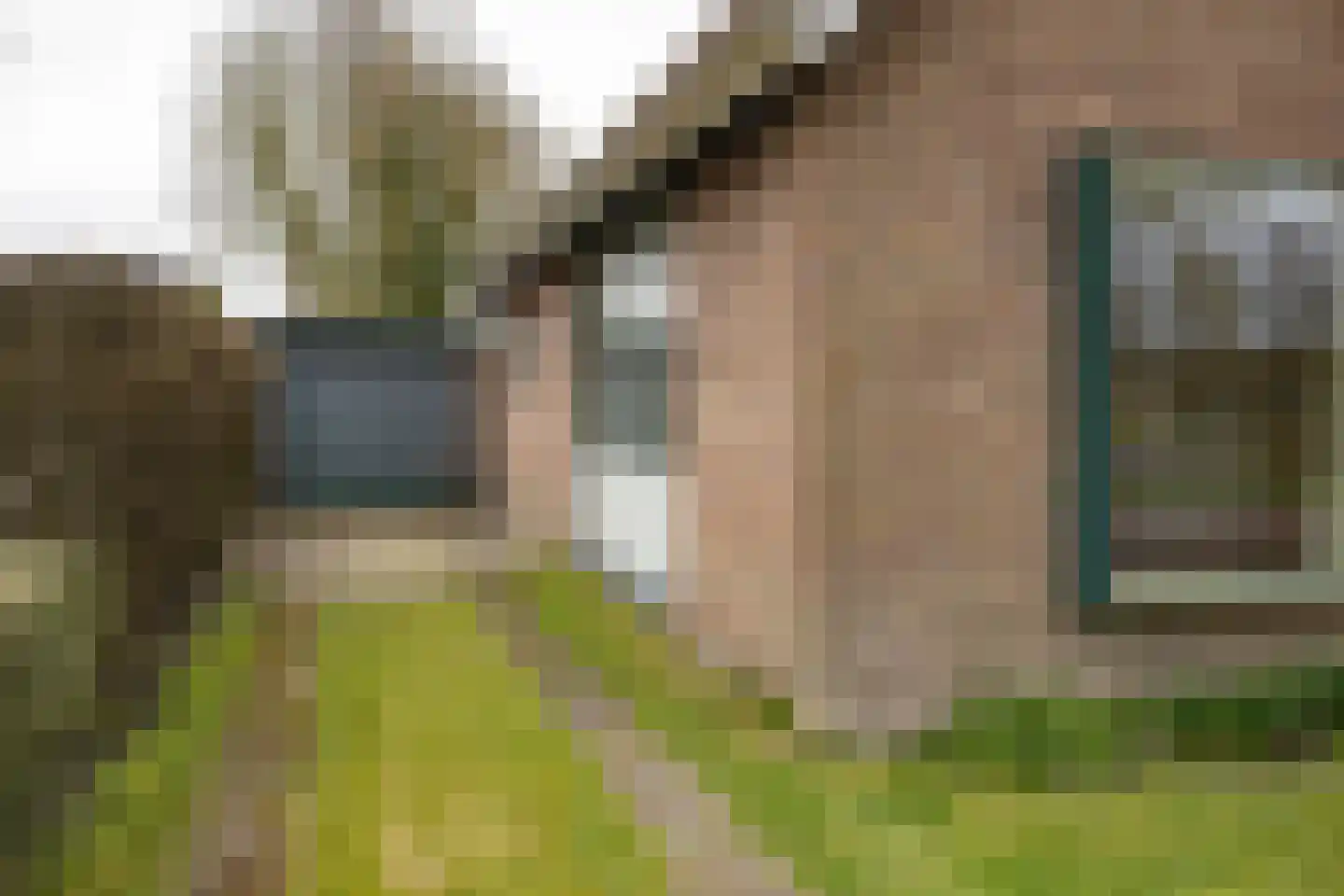 mr. S. M. van Haersma Bumaleane 10 Ysbrechtum thumbnail 11