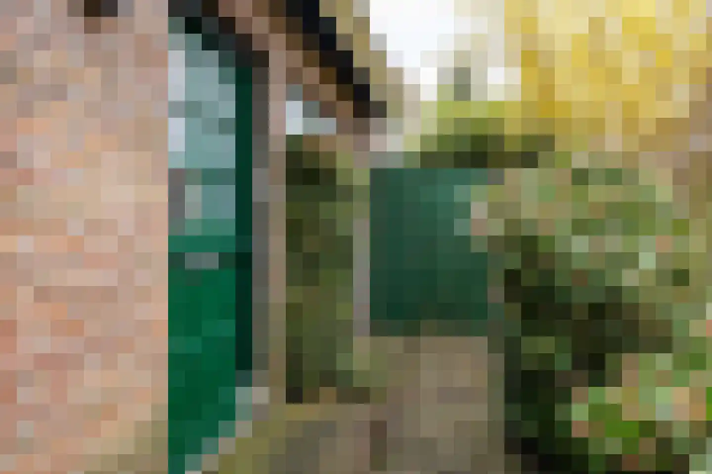 mr. S. M. van Haersma Bumaleane 10 Ysbrechtum thumbnail 12