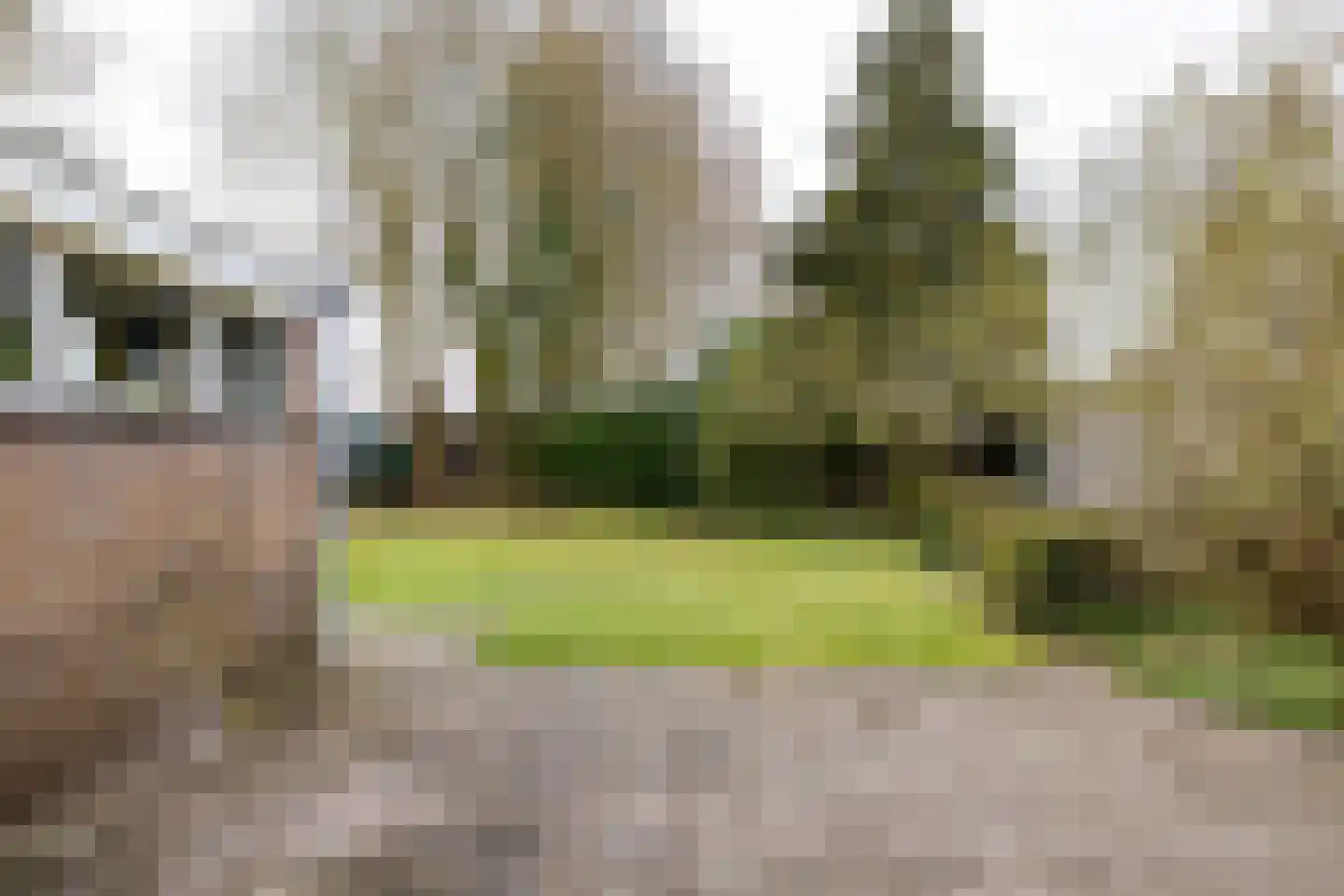 mr. S. M. van Haersma Bumaleane 10 Ysbrechtum thumbnail 47