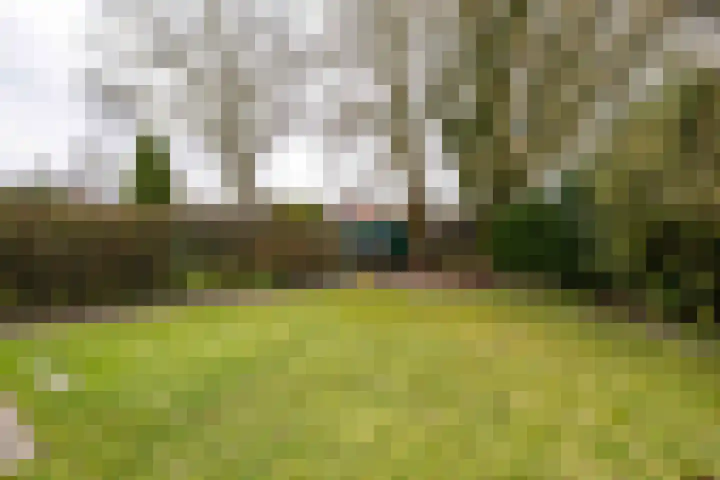 mr. S. M. van Haersma Bumaleane 10 Ysbrechtum thumbnail 49