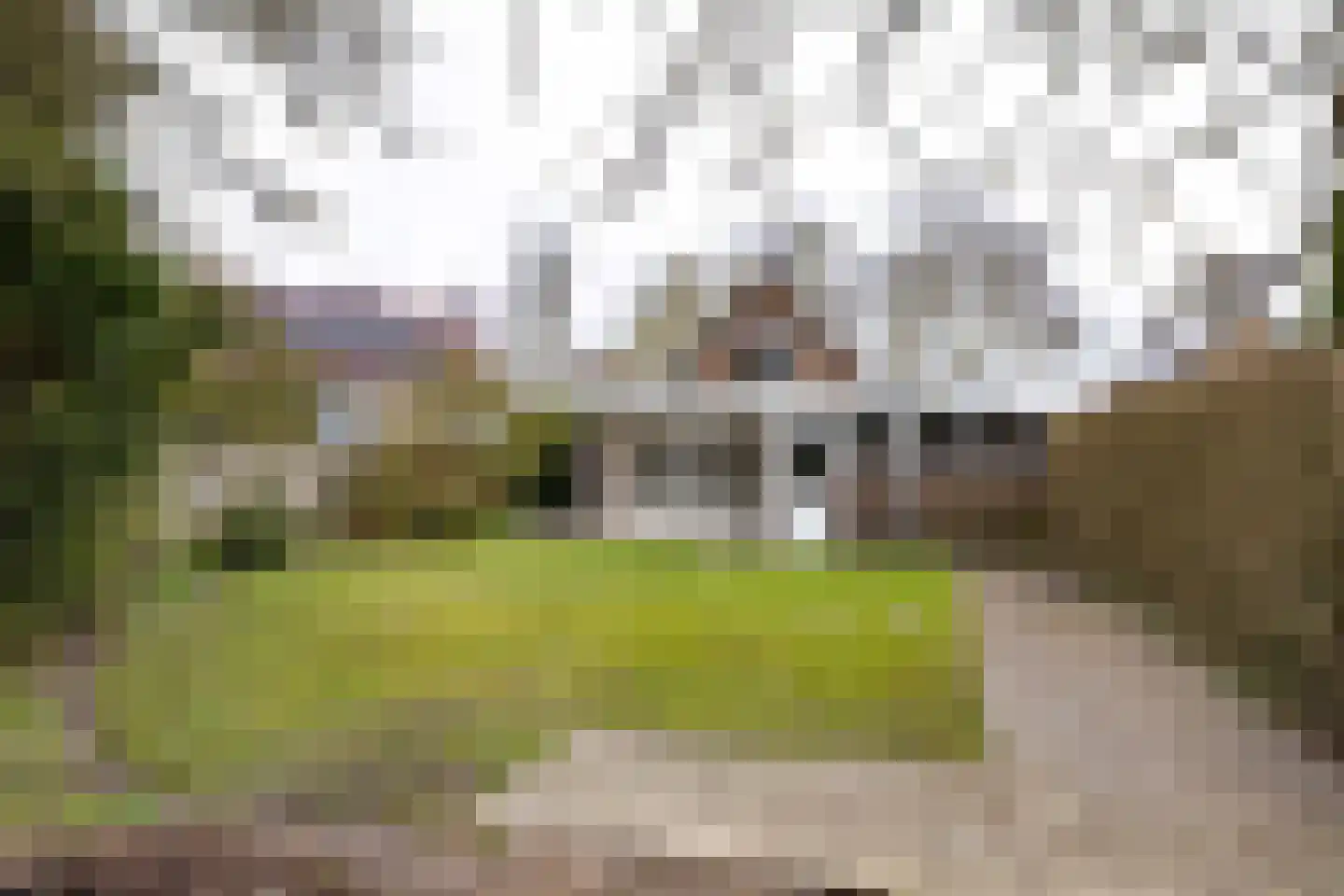mr. S. M. van Haersma Bumaleane 10 Ysbrechtum thumbnail 5