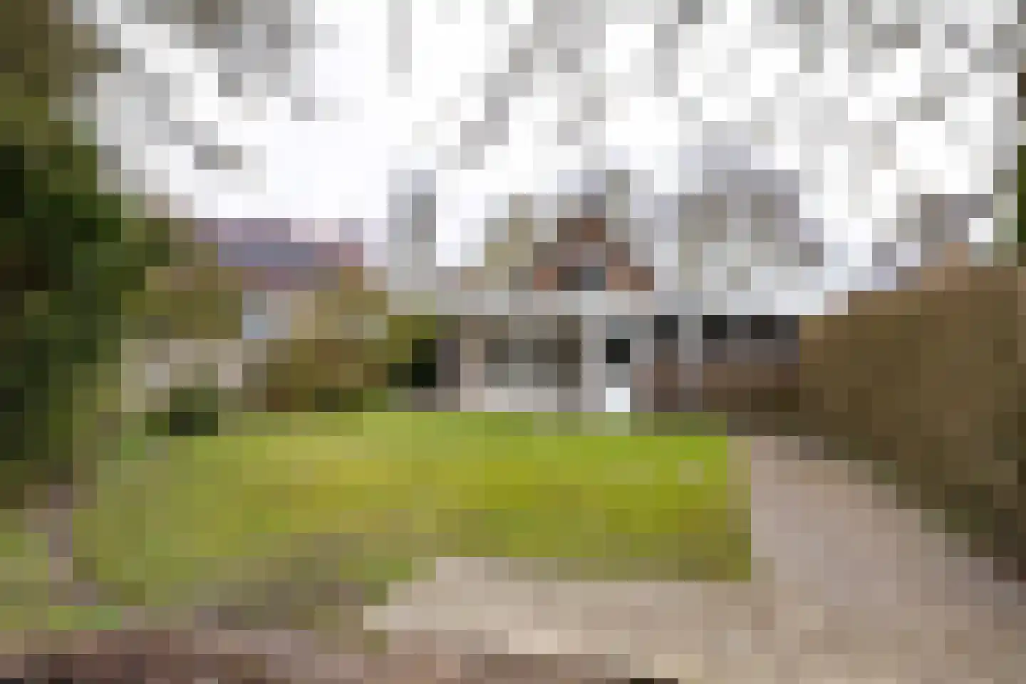 mr. S. M. van Haersma Bumaleane 10 Ysbrechtum thumbnail 51