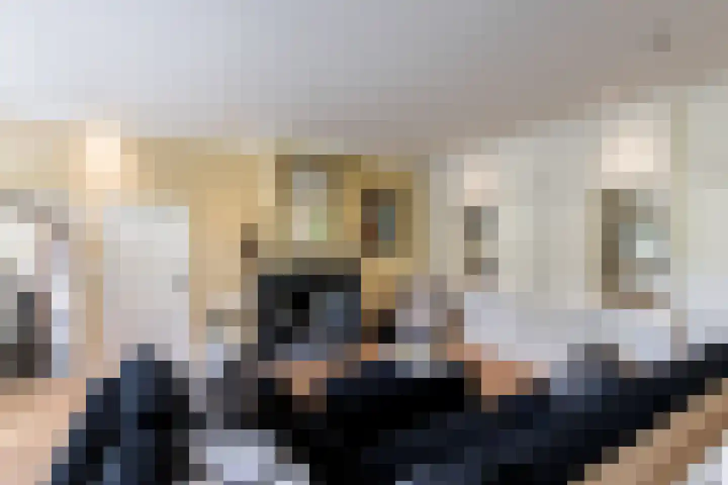 Mr S. Naaijenstraat 20 Andel thumbnail 10