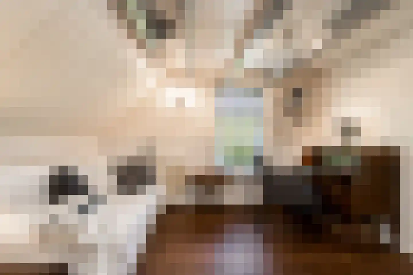 Mr S. Naaijenstraat 20 Andel thumbnail 15