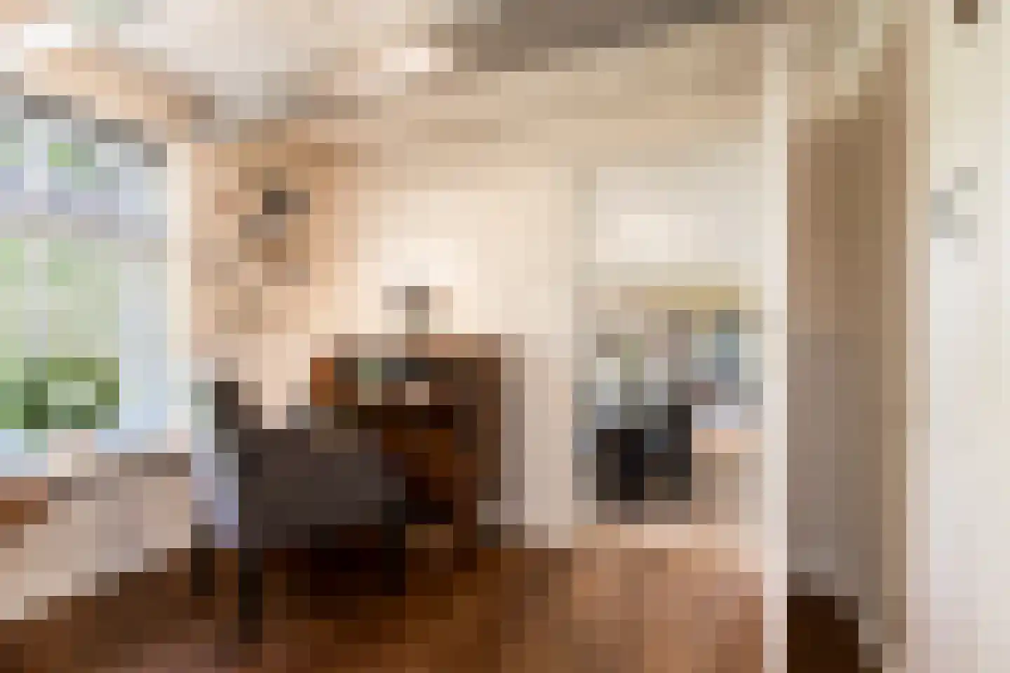 Mr S. Naaijenstraat 20 Andel thumbnail 16
