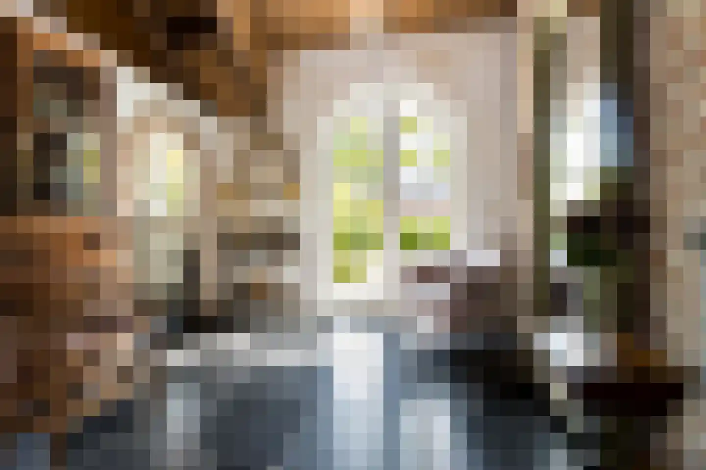 Mr S. Naaijenstraat 20 Andel thumbnail 17