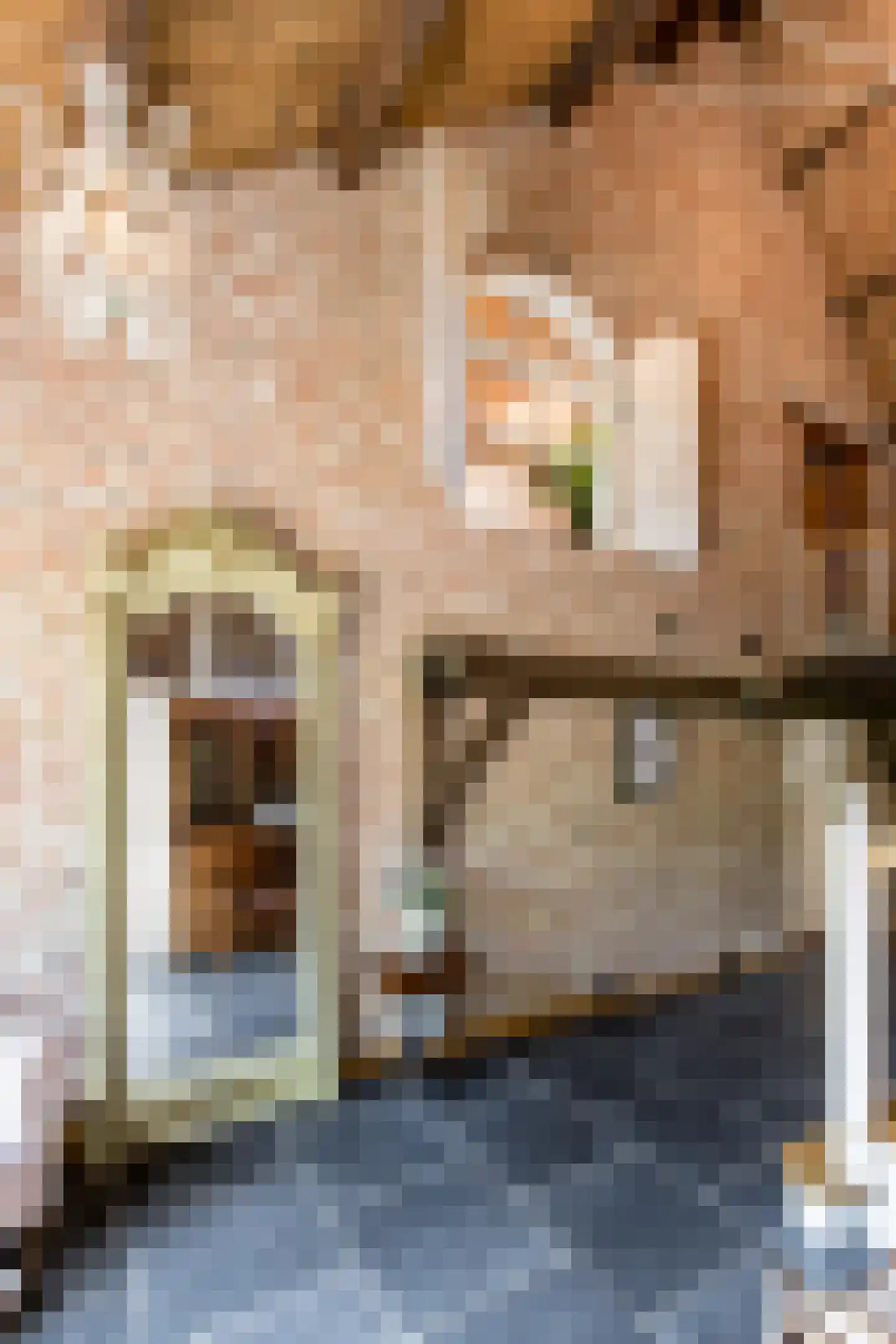 Mr S. Naaijenstraat 20 Andel thumbnail 19