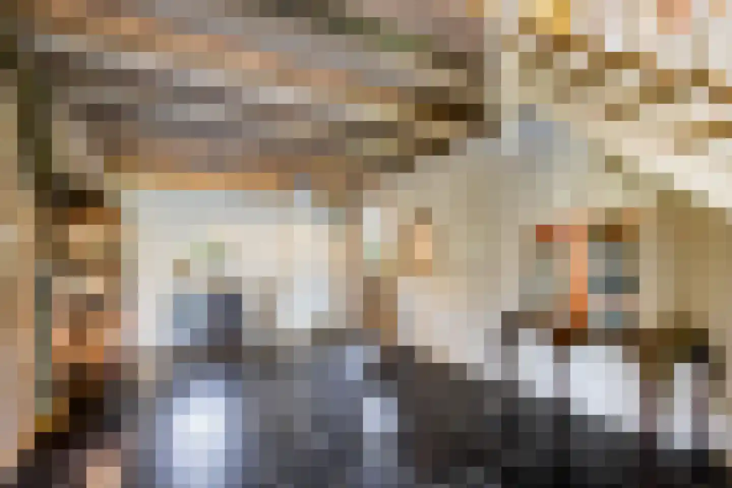 Mr S. Naaijenstraat 20 Andel thumbnail 20