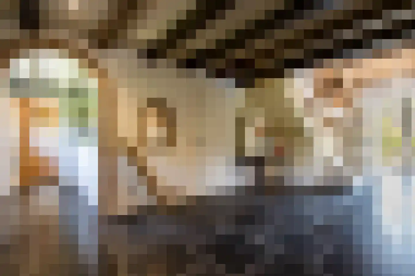 Mr S. Naaijenstraat 20 Andel thumbnail 21