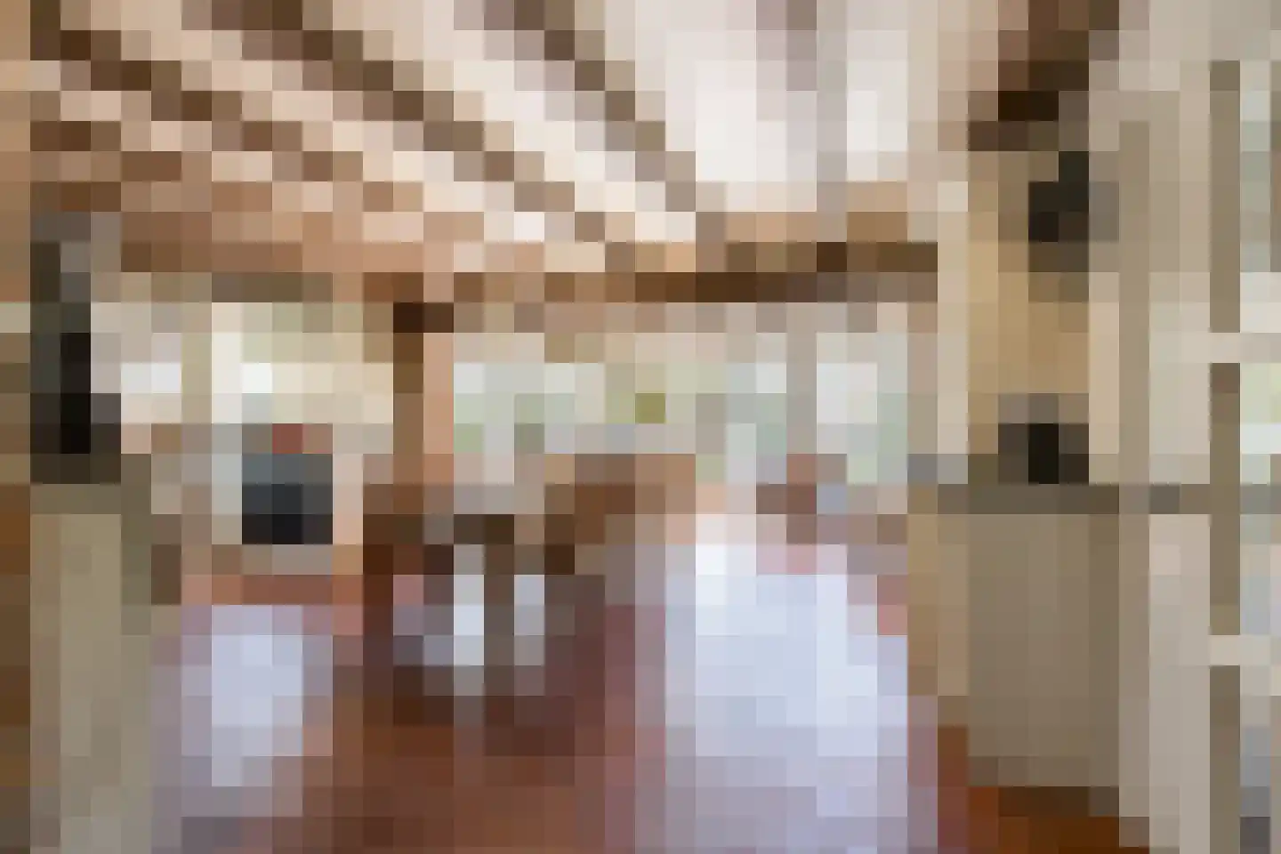 Mr S. Naaijenstraat 20 Andel thumbnail 22