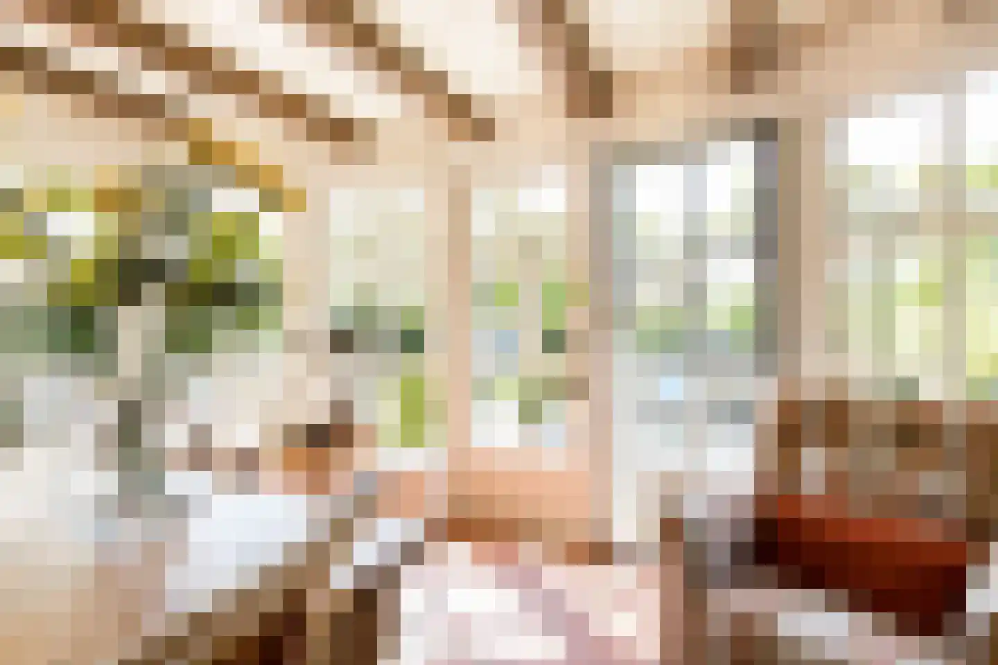 Mr S. Naaijenstraat 20 Andel thumbnail 25