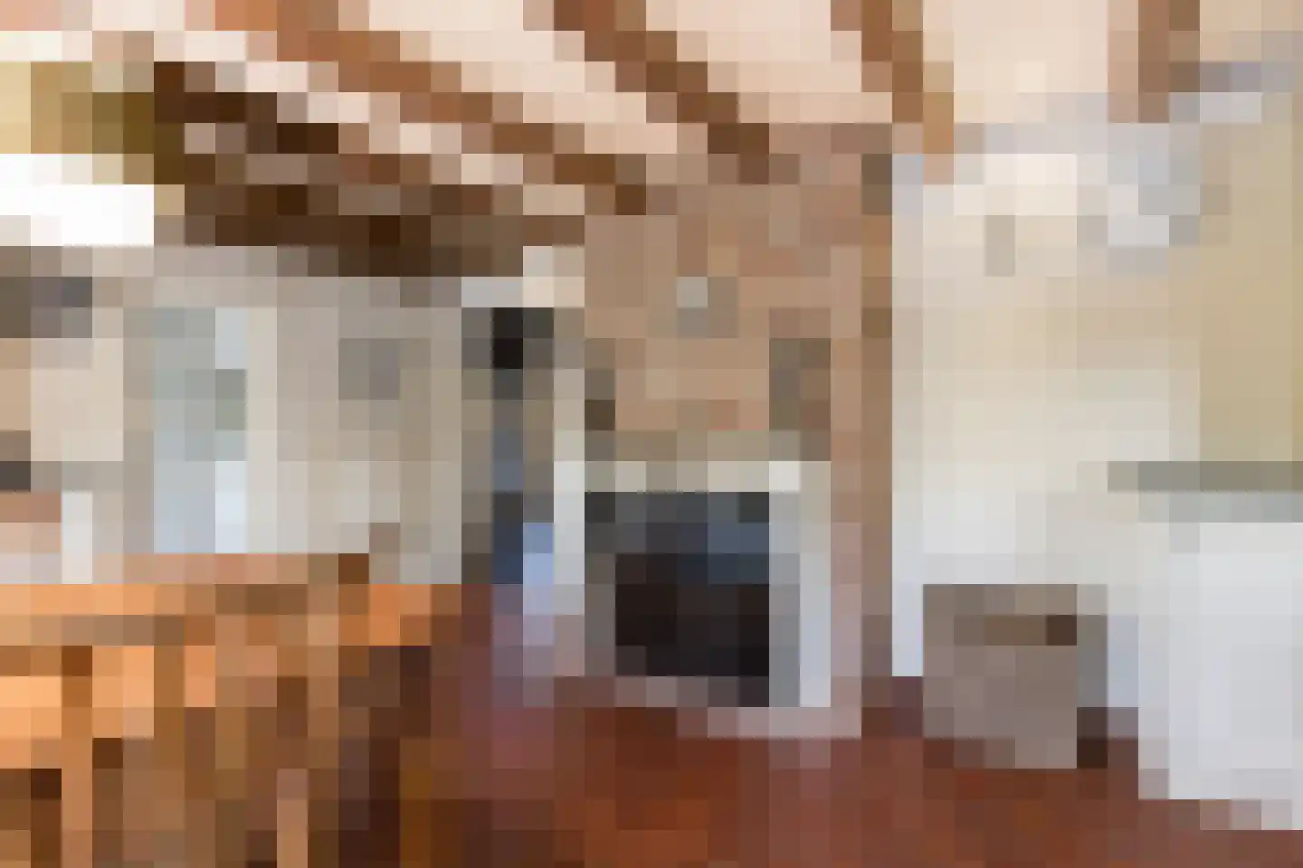 Mr S. Naaijenstraat 20 Andel thumbnail 30