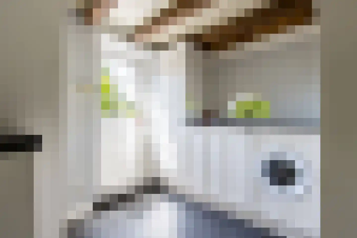 Mr S. Naaijenstraat 20 Andel thumbnail 31