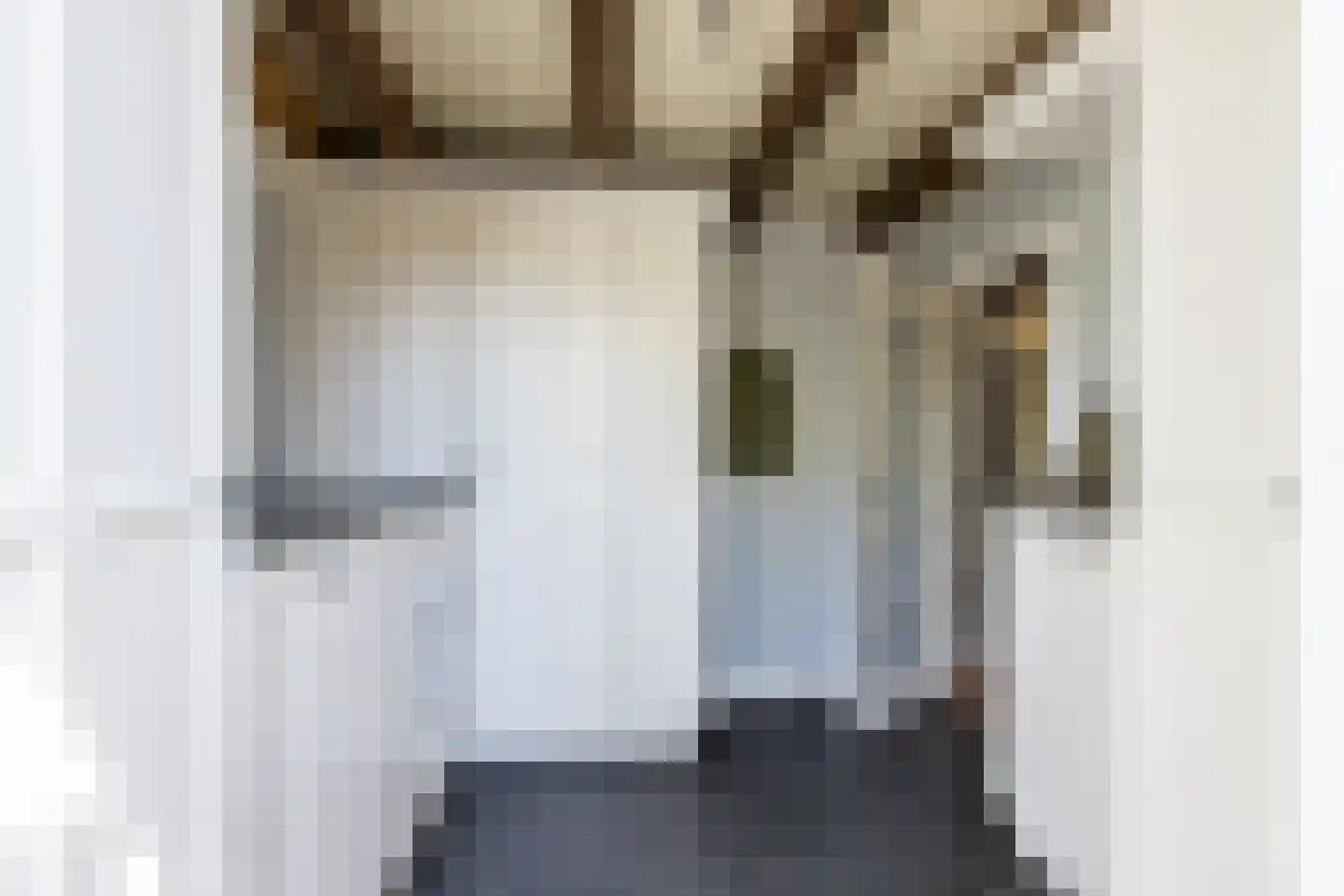Mr S. Naaijenstraat 20 Andel thumbnail 32