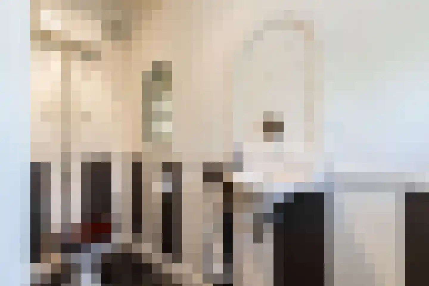 Mr S. Naaijenstraat 20 Andel thumbnail 33