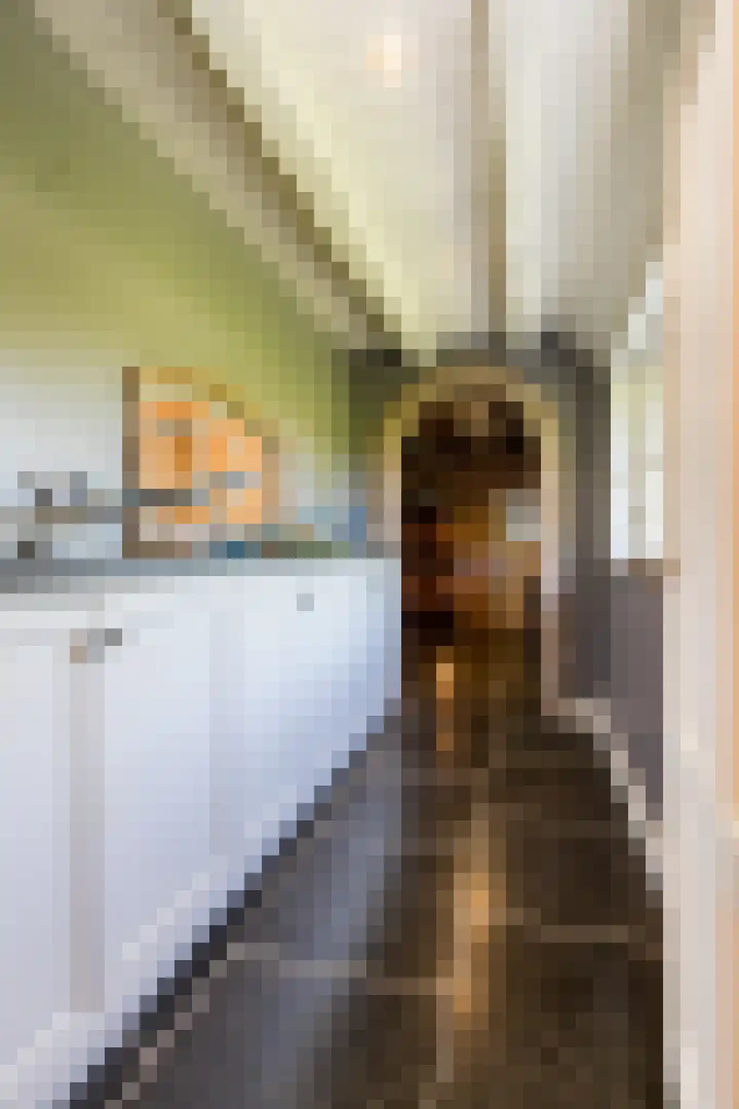 Mr S. Naaijenstraat 20 Andel thumbnail 34
