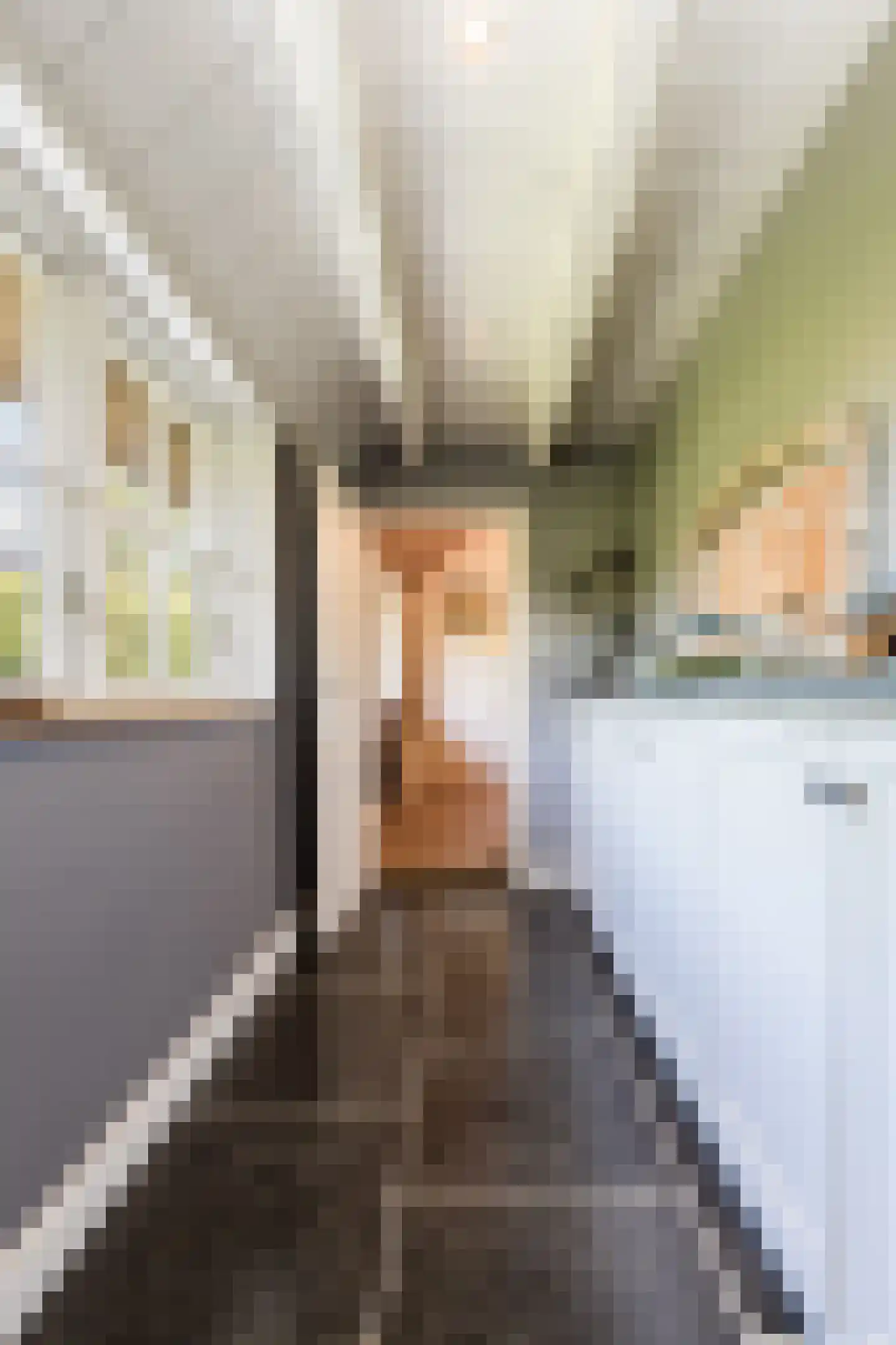 Mr S. Naaijenstraat 20 Andel thumbnail 35