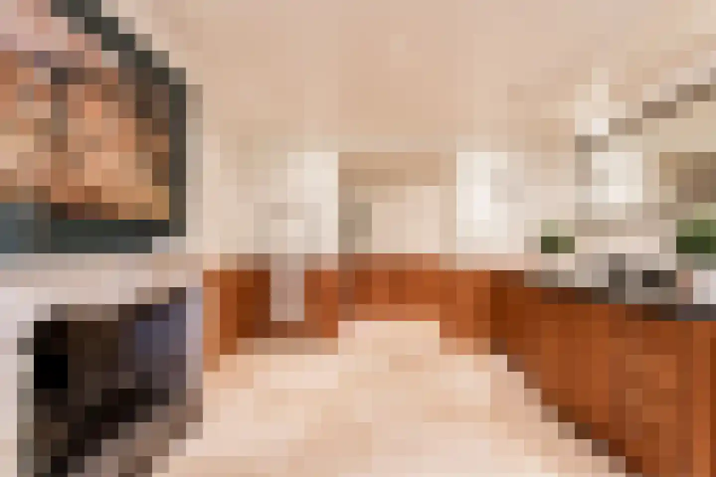 Mr S. Naaijenstraat 20 Andel thumbnail 39