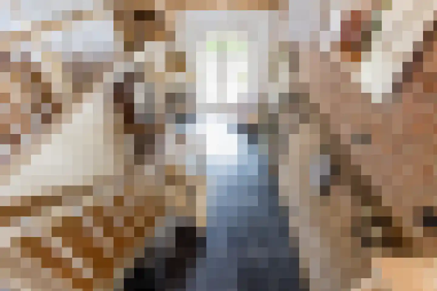 Mr S. Naaijenstraat 20 Andel thumbnail 47