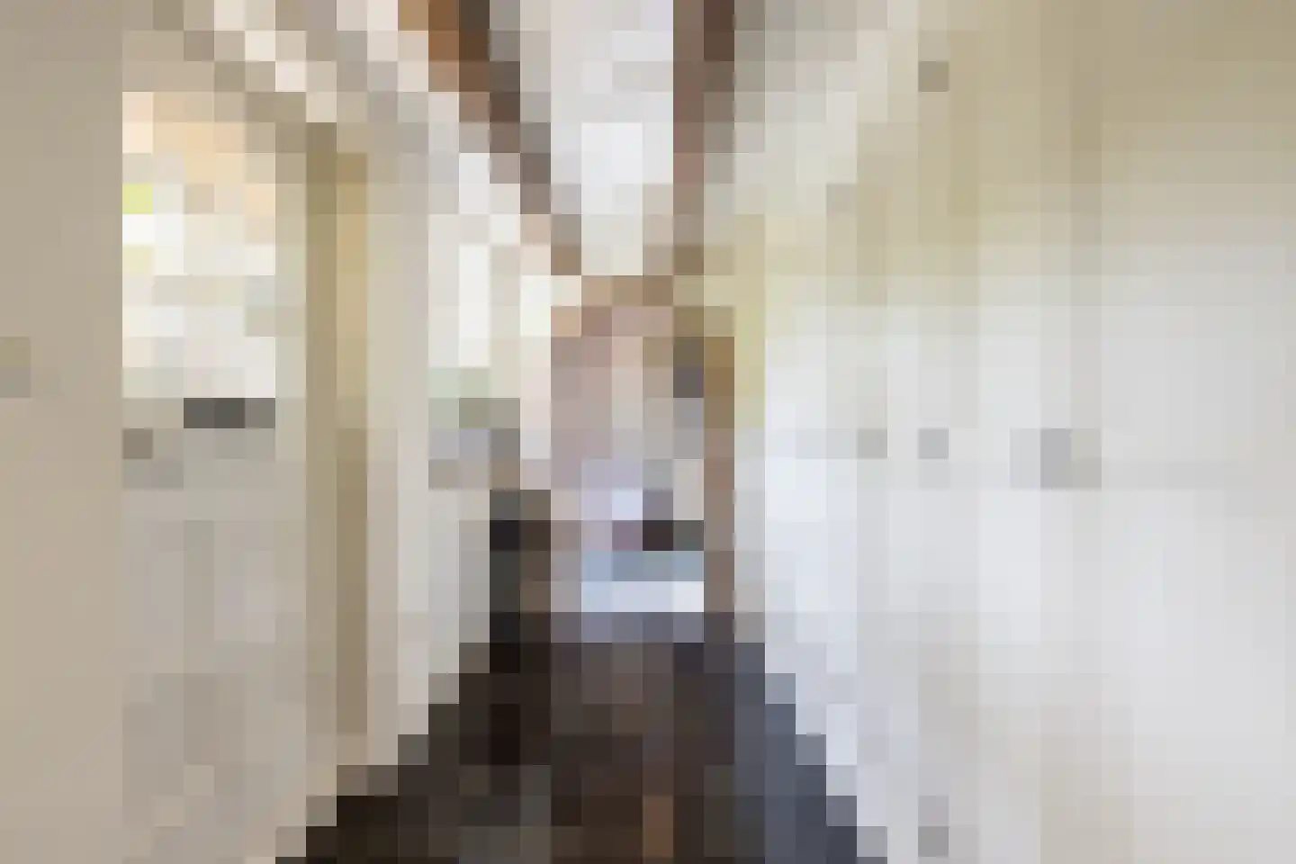 Mr S. Naaijenstraat 20 Andel thumbnail 5