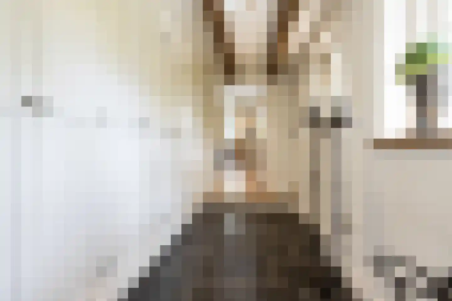 Mr S. Naaijenstraat 20 Andel thumbnail 6