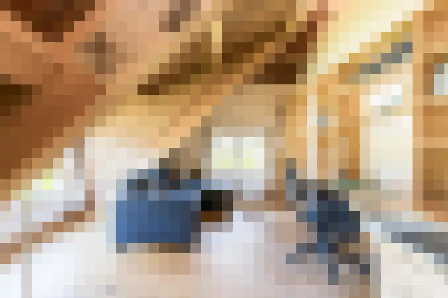 Mr S. Naaijenstraat 20 Andel thumbnail 61