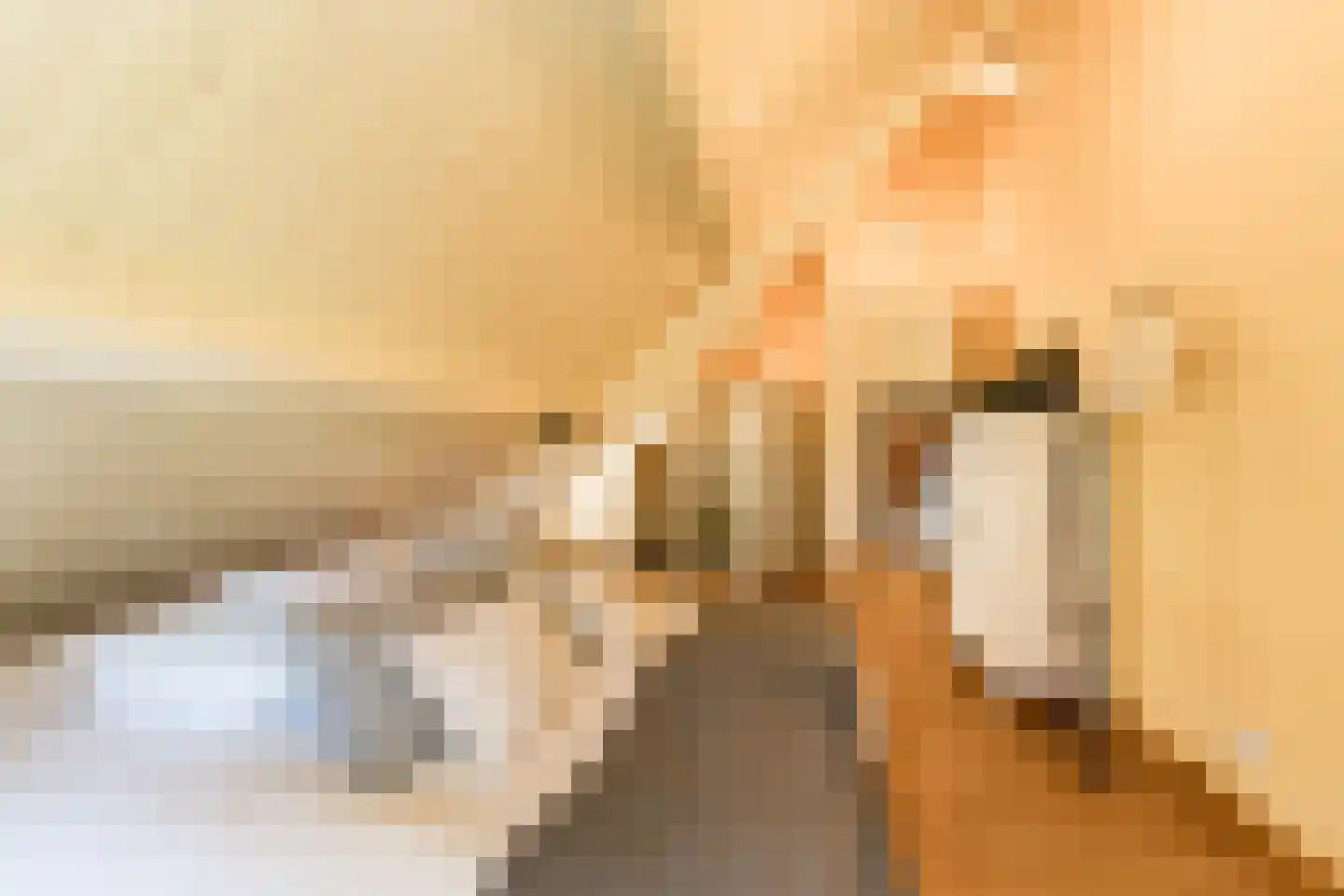Mr S. Naaijenstraat 20 Andel thumbnail 64