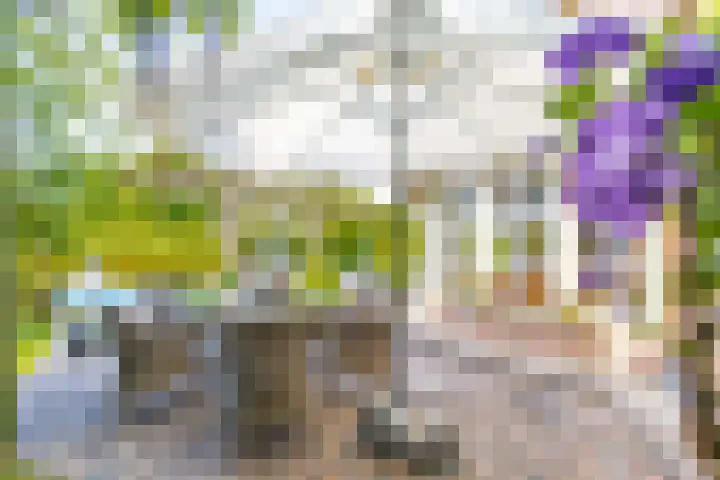Mr S. Naaijenstraat 20 Andel thumbnail 69
