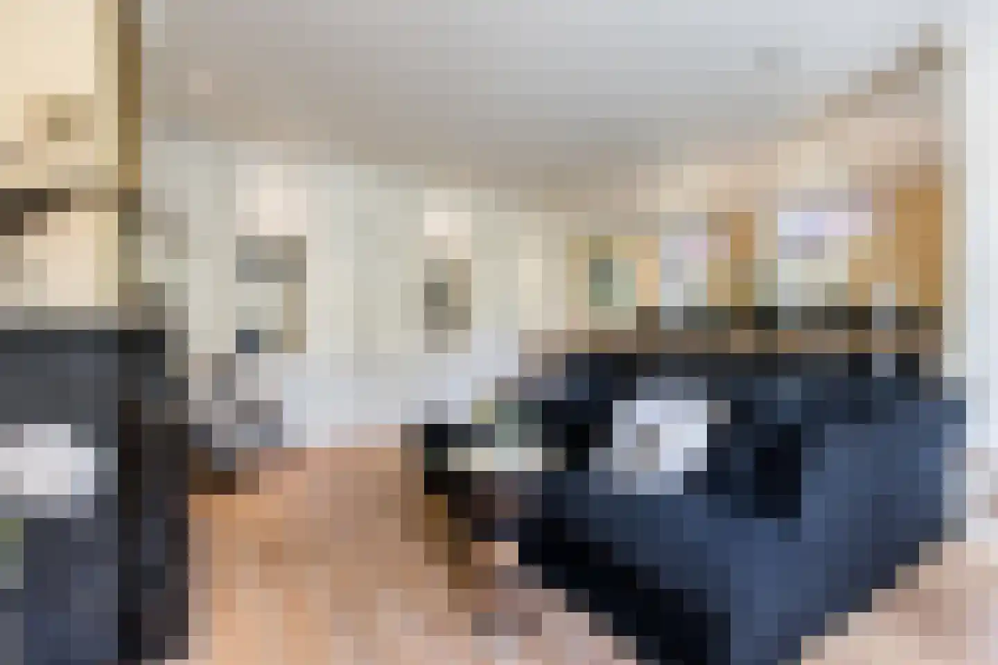 Mr S. Naaijenstraat 20 Andel thumbnail 7